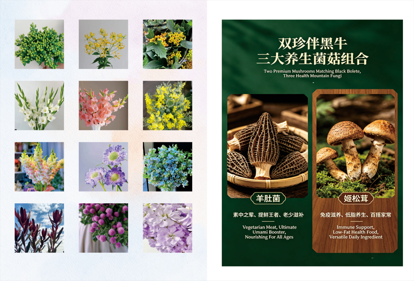 羊肚菌